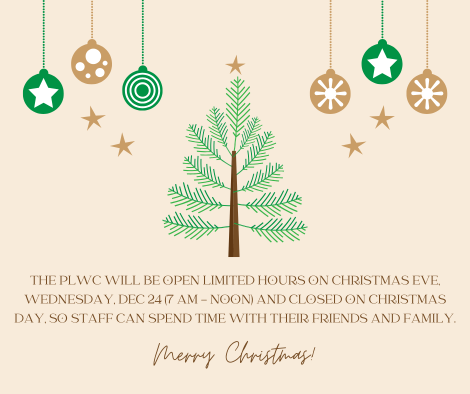 Closed for Christmas Social Media 2025